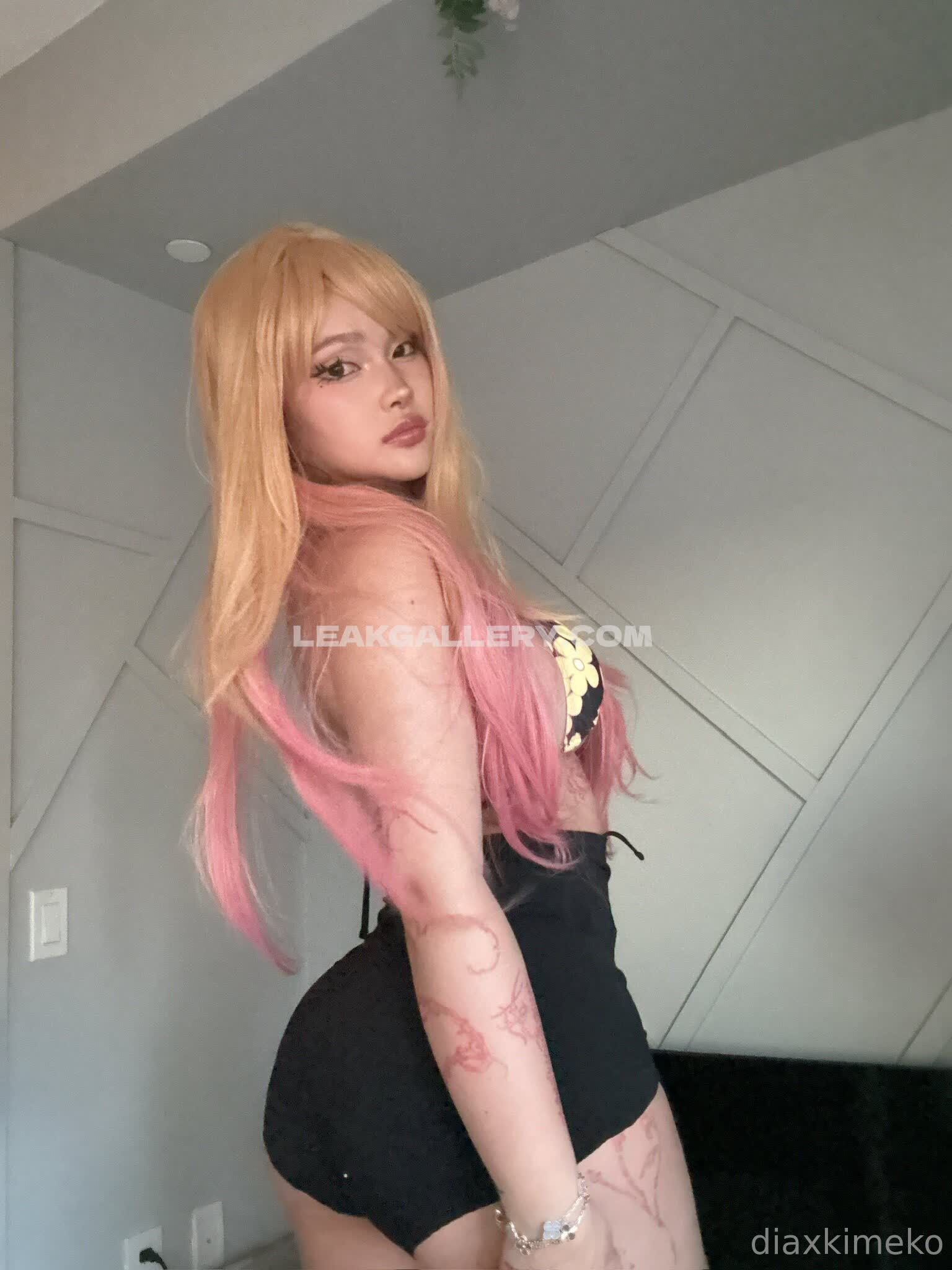 Diakimeko Exclusive Leaked Nude OnlyFans #2545828