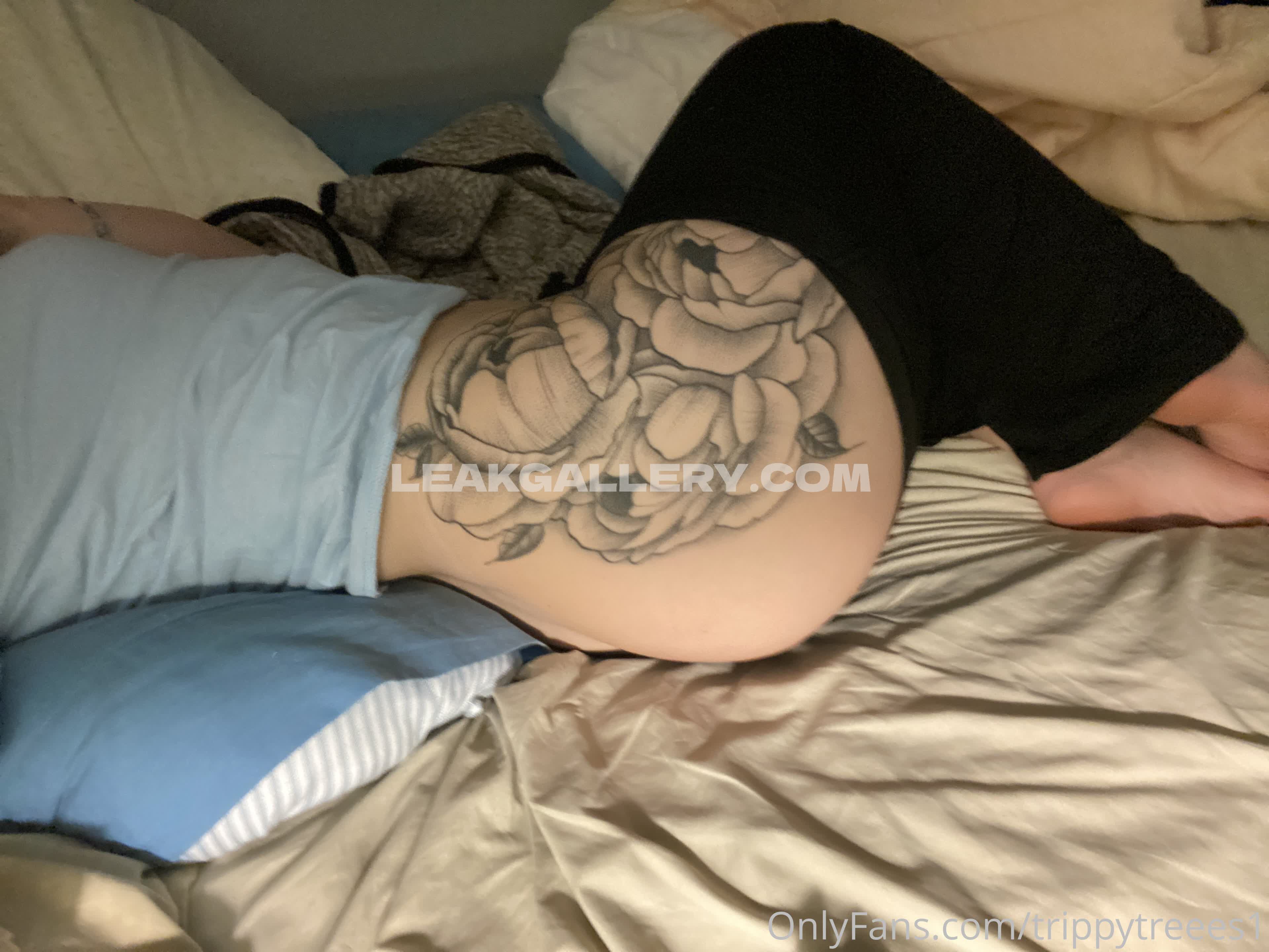 Trippytreees1 Exclusive Leaked Nude OnlyFans #2766057