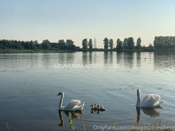 Anotherwebgirl Exclusive Leaked Nude Onlyfans #697431