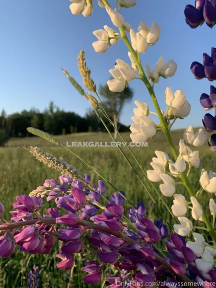 Anotherwebgirl Exclusive Leaked Nude Onlyfans #697398