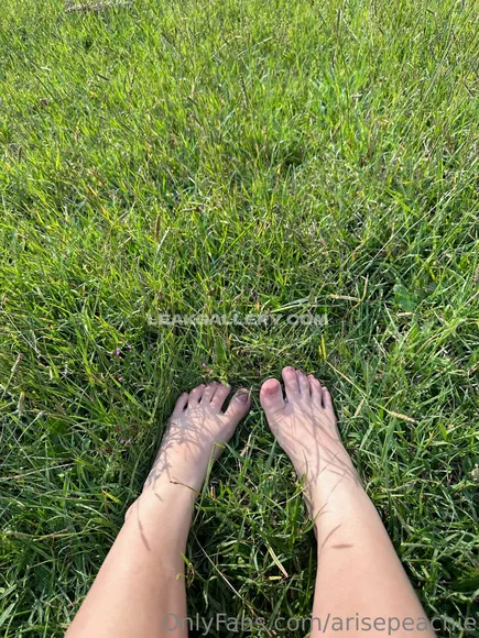 Arisepeach / Arise Peachy Exclusive Leaked Nude Onlyfans #43945