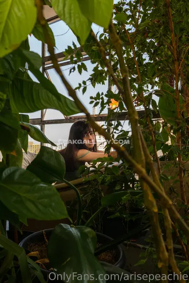 Arisepeach / Arise Peachy Exclusive Leaked Nude Onlyfans #42976