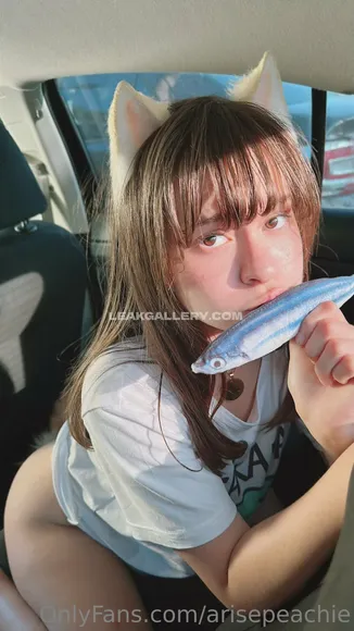 Arisepeach / Arise Peachy Exclusive Leaked Nude Onlyfans #42755