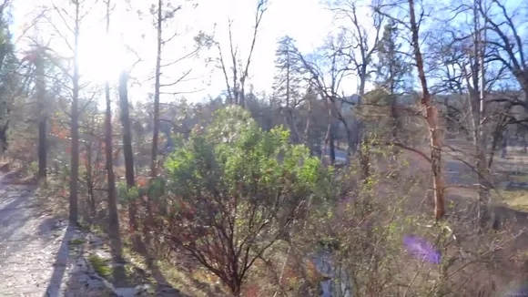 Ayumianime Exclusive Leaked Nude Onlyfans #498763