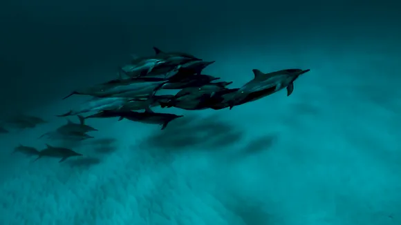 Chelynazario Exclusive Leaked Nude Onlyfans #691804