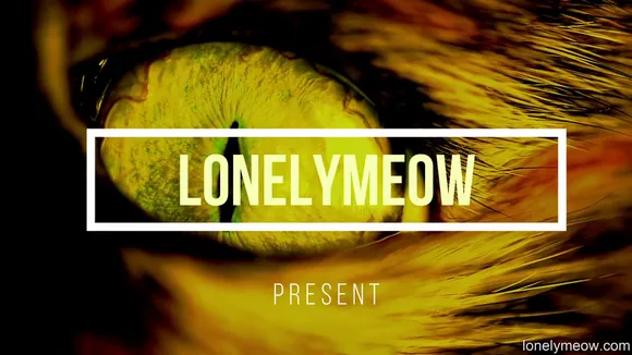 Lonelymeow Exclusive Leaked Nude Onlyfans #1043173