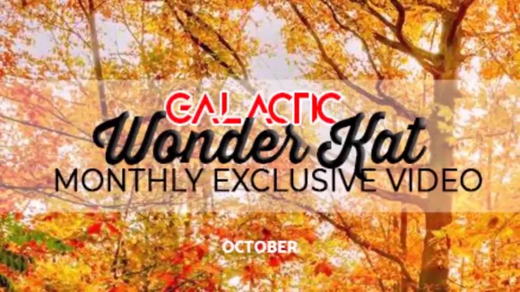 Katwondersfree / katwonders Exclusiva filtración de OnlyFans desnuda #1131197