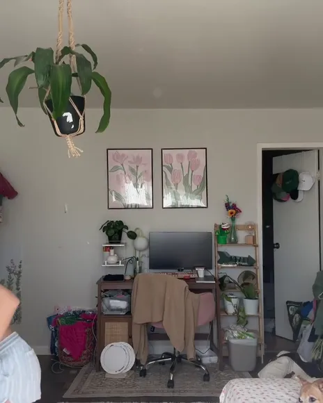Whipitdev / nnevelpappermann Exclusive Leaked Nude Onlyfans #2253130