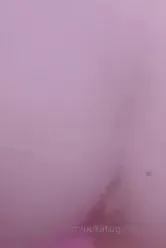 Potatogodzilla Exclusive Leaked Nude Onlyfans #1917777