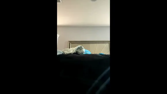 Ayleksx Exclusive Leaked Nude Onlyfans #743360