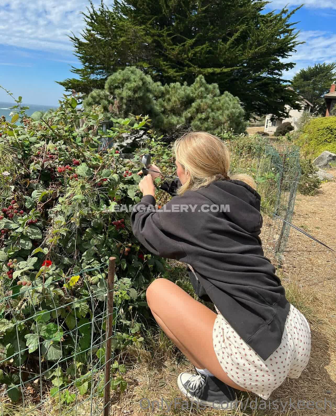 Daisykeech / alexkelsey / alexkelsey18 / daisykeach Exclusieve gelekte naaktcontent van OnlyFans #1518200