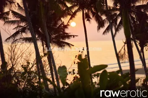 Ditsm Exclusive Leaked Nude Onlyfans #825536