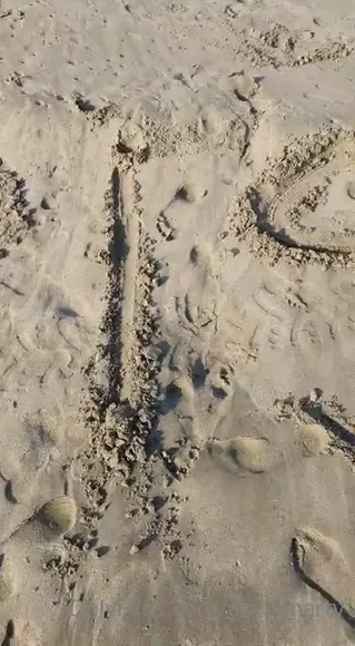 Dorismartv Exclusive Leaked Nude Onlyfans #869508