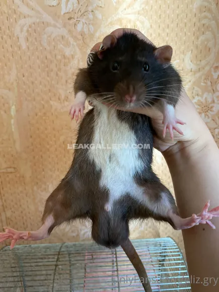 Eliz.gry Exclusive Leaked Nude Onlyfans #241927