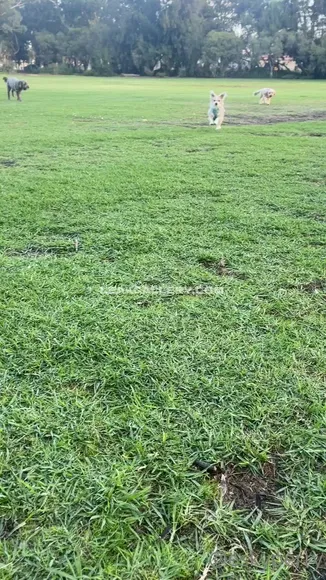 Eskyperry Exclusive Leaked Nude Onlyfans #71289