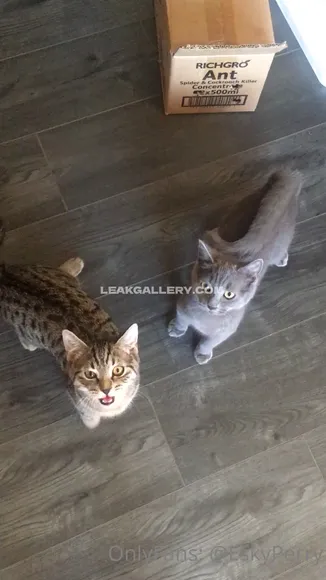 Eskyperry Exclusive Leaked Nude Onlyfans #72383