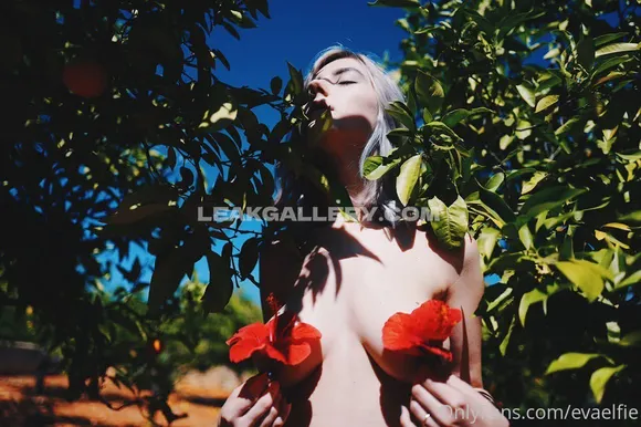 Evaelfie Exclusive Leaked Nude Onlyfans #12647
