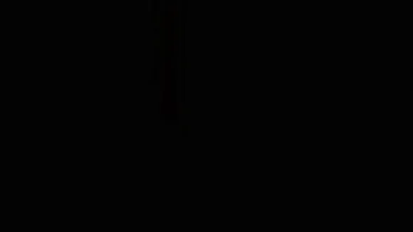 harrietsugarcookie video thumbnail