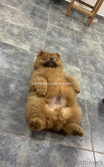 Kiarafonseca Exclusive Leaked Nude Onlyfans #204138