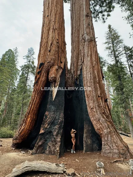 Leolulu Exclusive Leaked Nude Onlyfans #262210