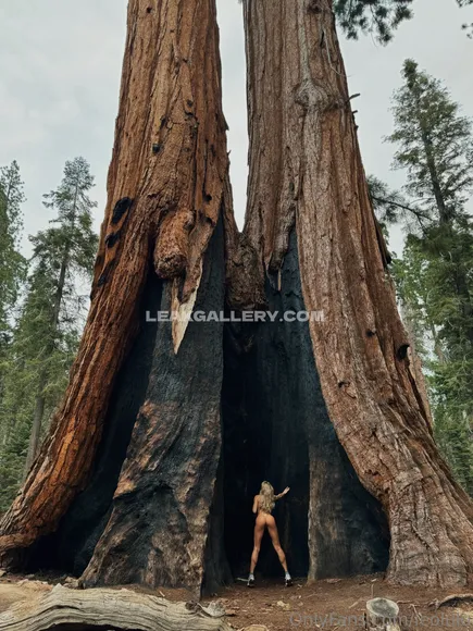 Leolulu Exclusive Leaked Nude Onlyfans #262264