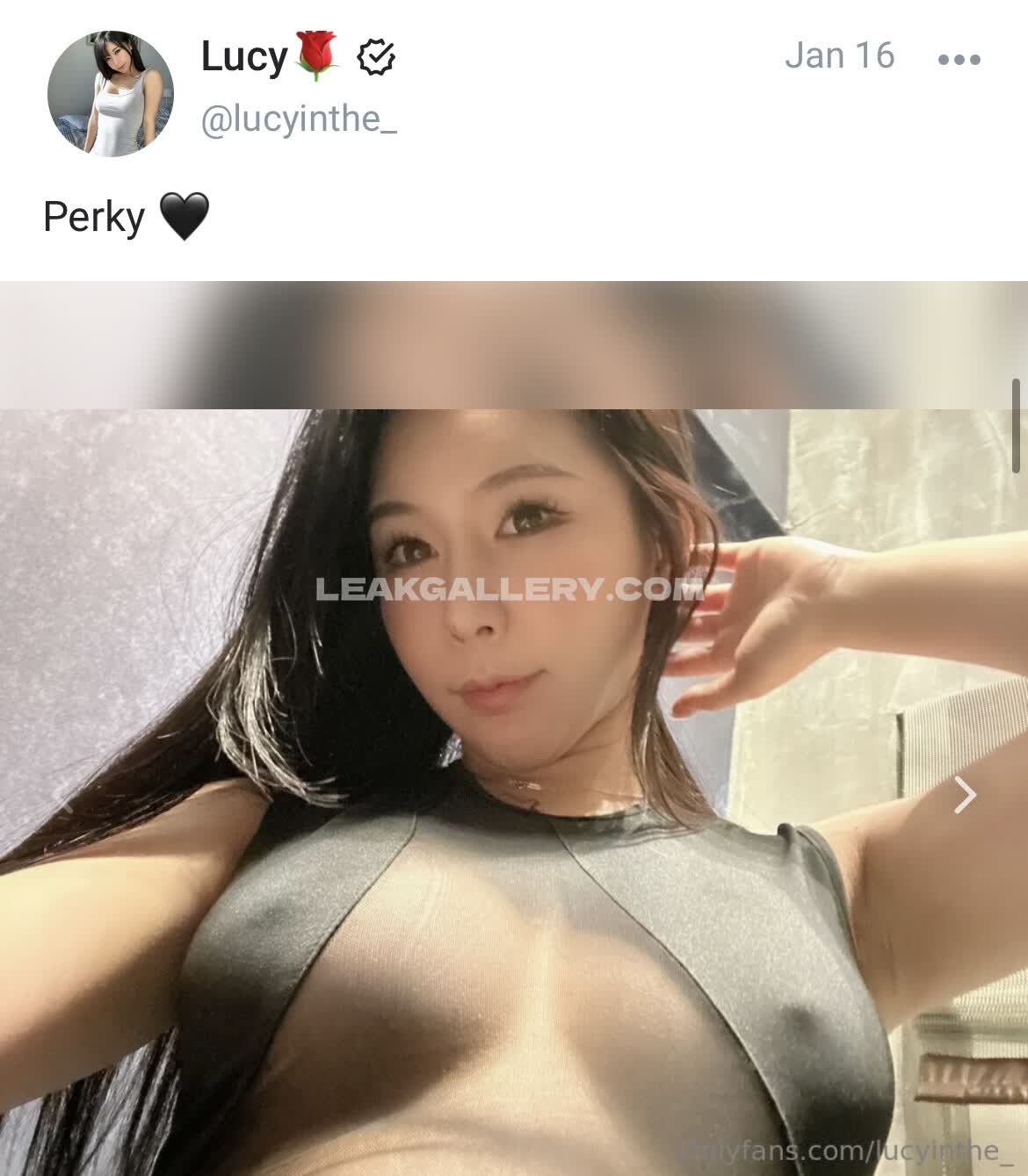 Lucyinthe_ Exclusive Leaked Nude OnlyFans #1466482