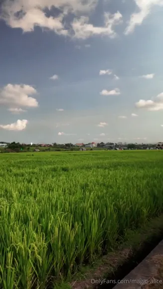 Magic_alice Exclusive Leaked Nude Onlyfans #661037