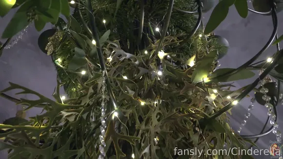 Pilgrimgirl / cinderelastory Exclusive Leaked Nude Onlyfans #691708