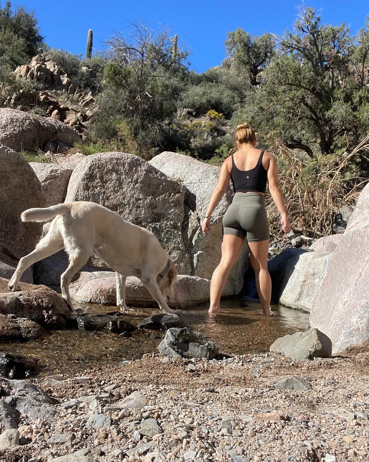 adventurebare