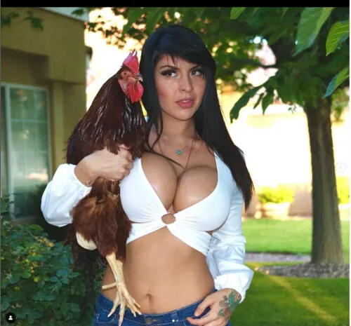 alondraroi