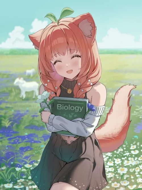 digivt