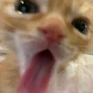 emmyuh