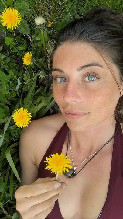 hedgerow_healing