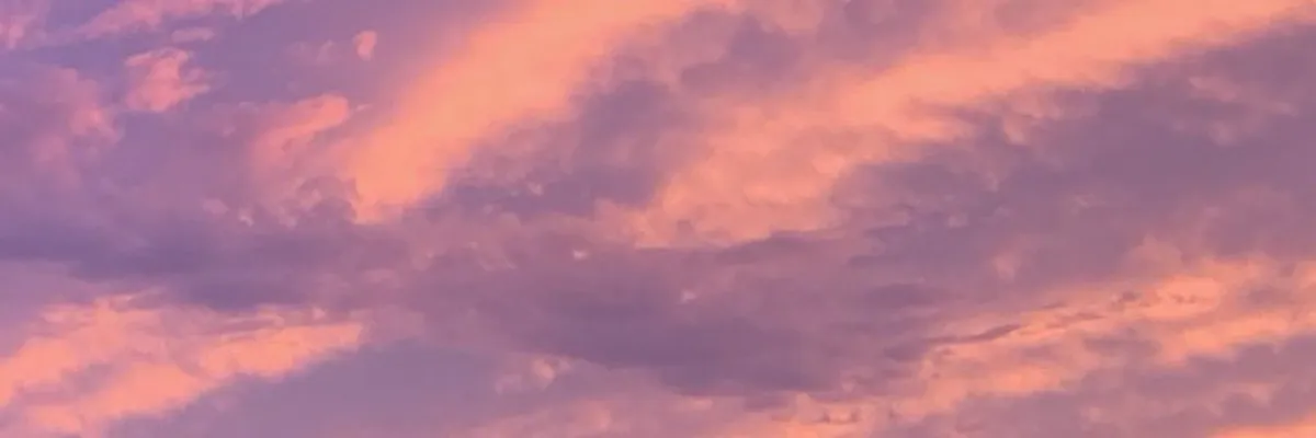 lilyilyb