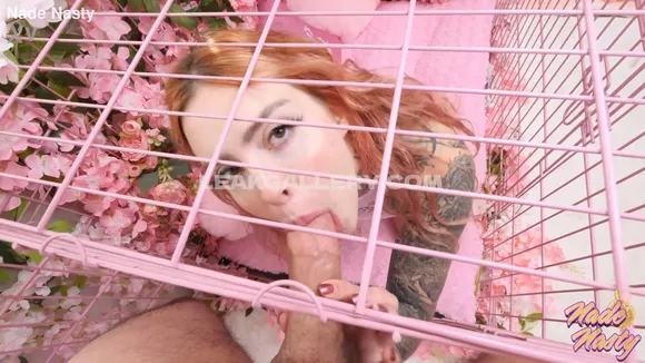 Thedesperateone Exclusive Leaked Nude Onlyfans #804334