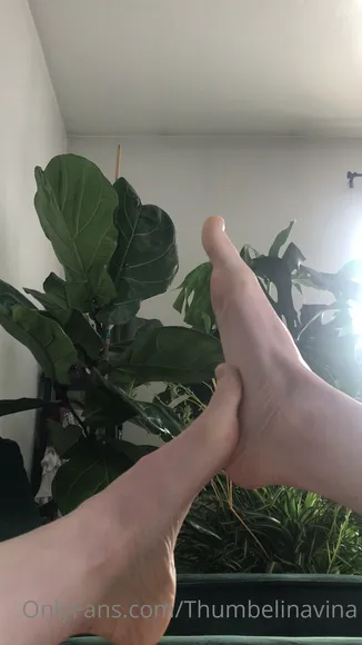 Thumbelinavina Exclusive Leaked Nude Onlyfans #231850
