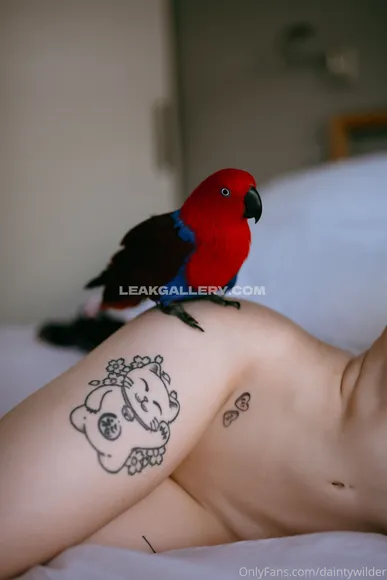 Daintywilders Exclusive Leaked Nude Onlyfans #1705179