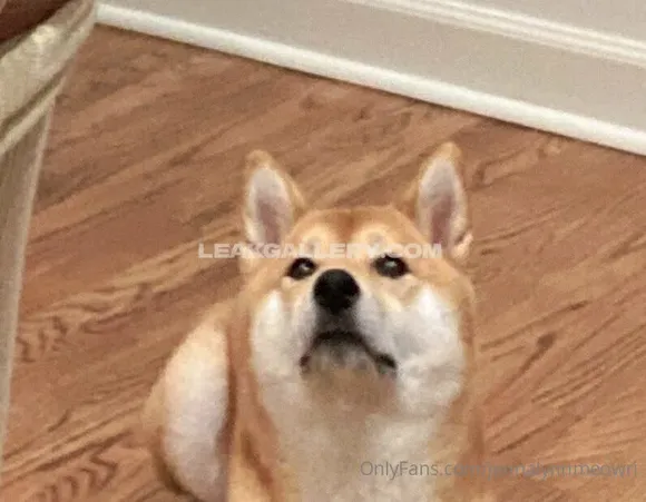 Jennalynnmeowri Exclusive Leaked Nude Onlyfans #1468496