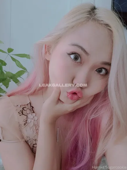 Harrietsugarcookie Exclusive Leaked Nude Onlyfans #1859790