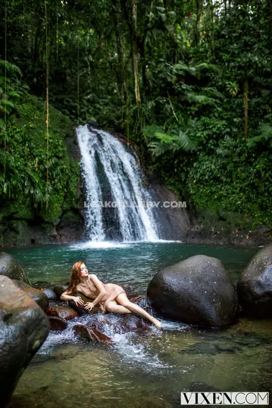 Bird Exclusive Leaked Nude Onlyfans #1877851