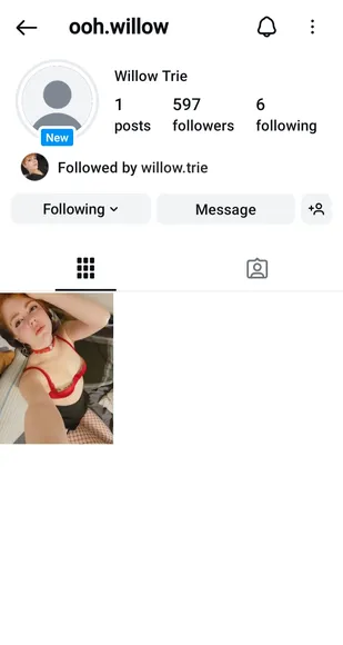 Willow Exclusive Leaked Nude Onlyfans #1104465