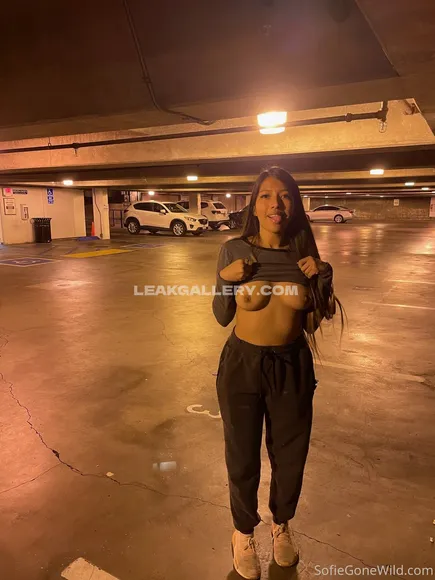 Sofiegonewild Exclusive Leaked Nude Onlyfans #71064