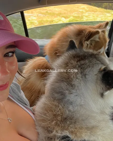 Whipitdev / nnevelpappermann Exclusive Leaked Nude Onlyfans #2254443