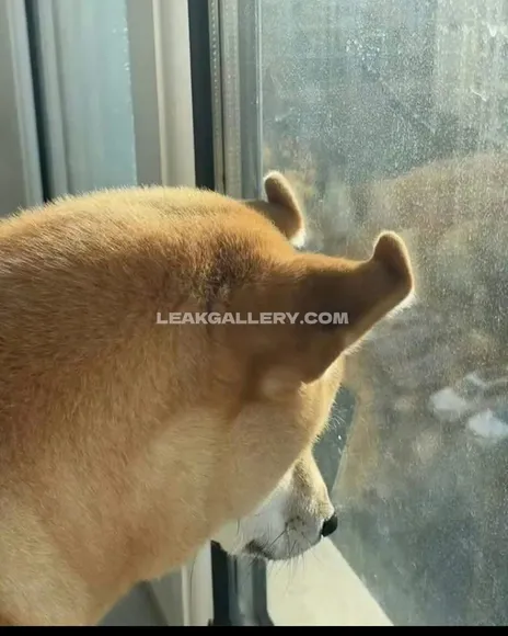 Vyxphan Exclusive Leaked Nude Onlyfans #1090051