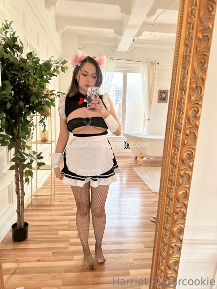 Harrietsugarcookie Exclusive Leaked Nude Onlyfans #1858921