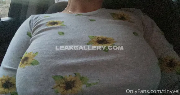 N0e1lx / tinyvel Exclusive Leaked Nude Onlyfans #654109