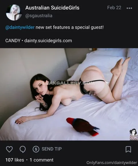 Daintywilders Exclusive Leaked Nude Onlyfans #1701064