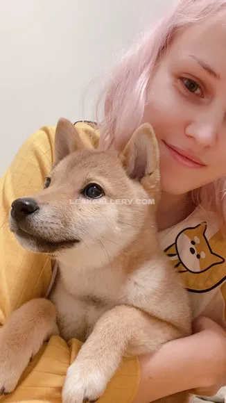 Shiroganesama Exclusive Leaked Nude Onlyfans #2187952