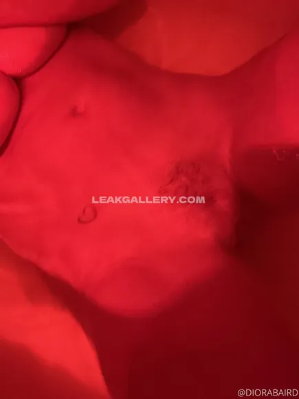 Diorabaird Exclusive Leaked Nude Onlyfans #396673