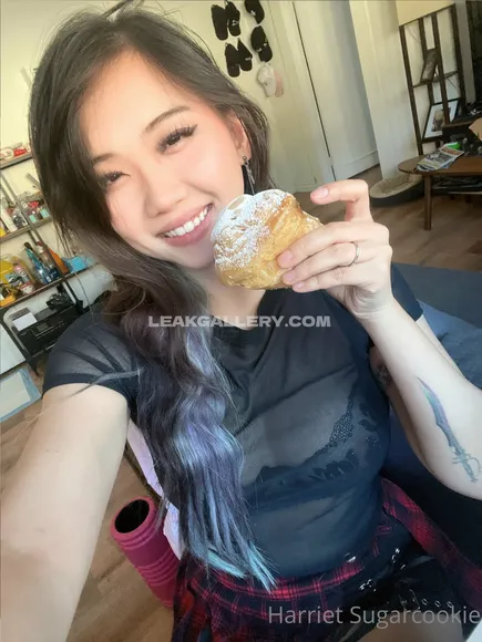 Harrietsugarcookie Exclusive Leaked Nude Onlyfans #1861841